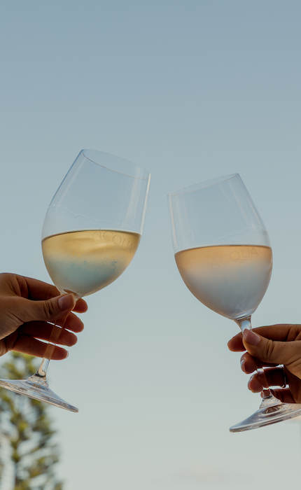 White Wine Glasses from Acqua Restaurant & Bar | Engaging Content Creation and Marketing for Bars