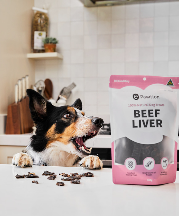 Dog Looking at Pawtion's Beef Liver Dog Treats | Visual Content for Niche Ecommerce Brands